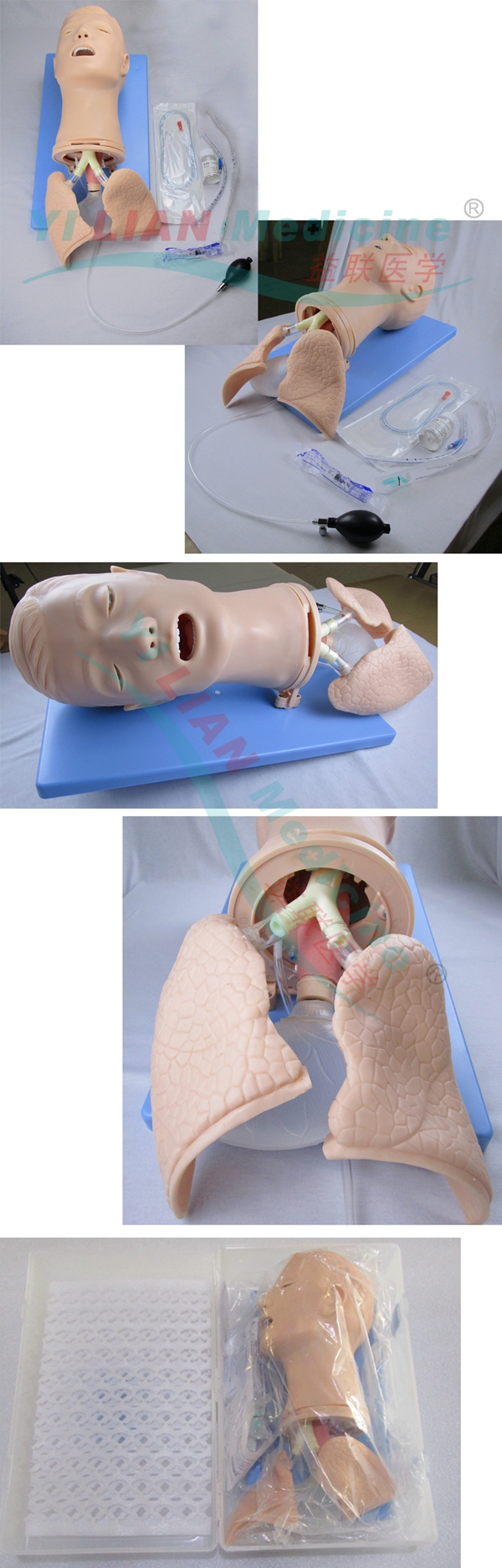 高級(jí)多功能氣道管理模型