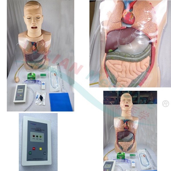 多功能透明洗胃訓(xùn)練模型