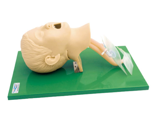 兒童氣管插管模型