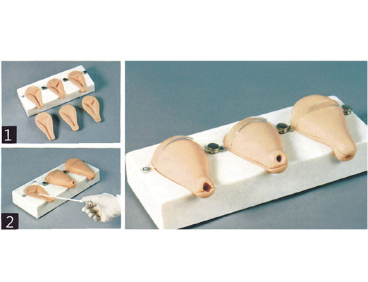 婦科教學模型之高級人工流產模擬子宮