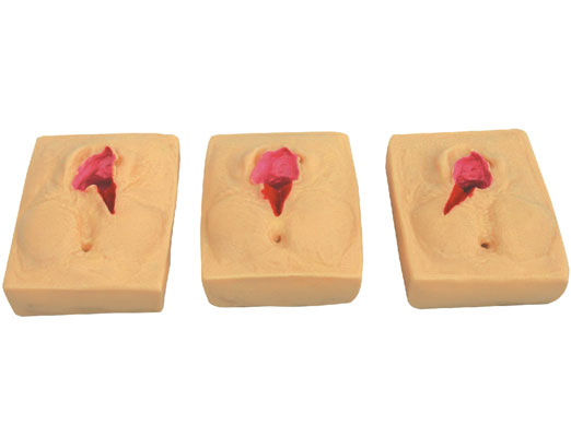 硅膠會(huì)陰切開縫合練習(xí)模型