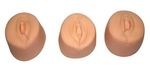 會陰切開縫合模型