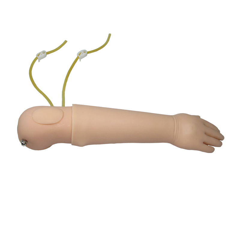 嬰兒靜脈穿刺手臂模型