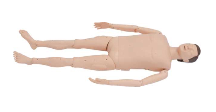 溺水急救心肺復(fù)蘇模型